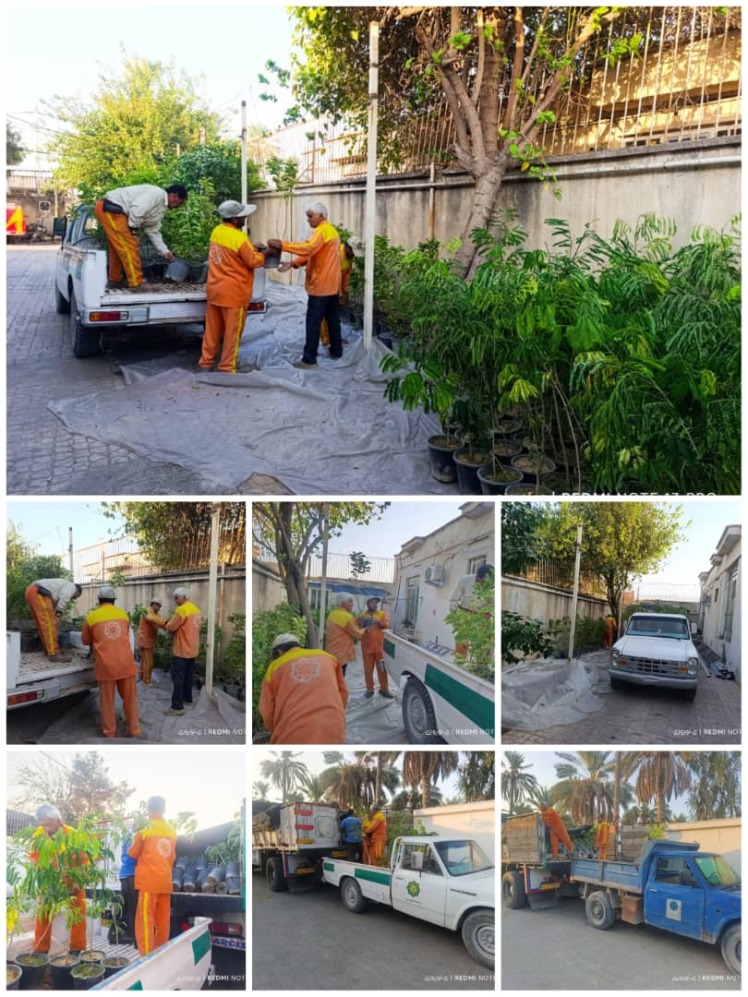 نام نویسی توزیع نهال بین شهروندان