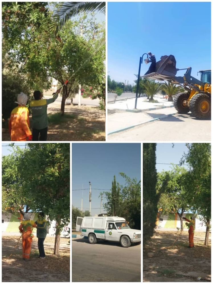 اصلاح چراغهای روشنایی و سمپاشی درختان فضای سبز پارکها و فضای سبز شهرداری توسط کارگران خدوم شهرداری امروز دهم خرداد ماه 1404 به روایت تصویر.