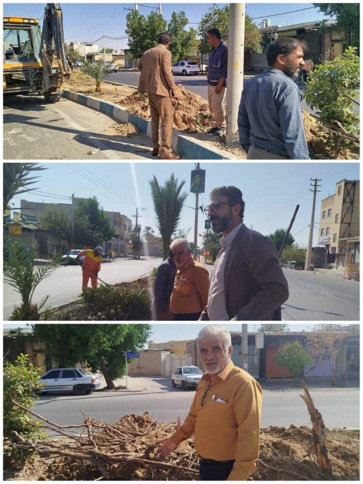 شروع کاشت درختان نخل در بلوار قطب الدین با تلاش پارکبانان خدوم شهرداری قطب آباد امروز پنجم آبان ماه 1404